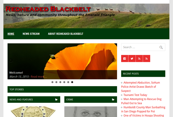 Redheaded Blackbelt - kymkemp.com